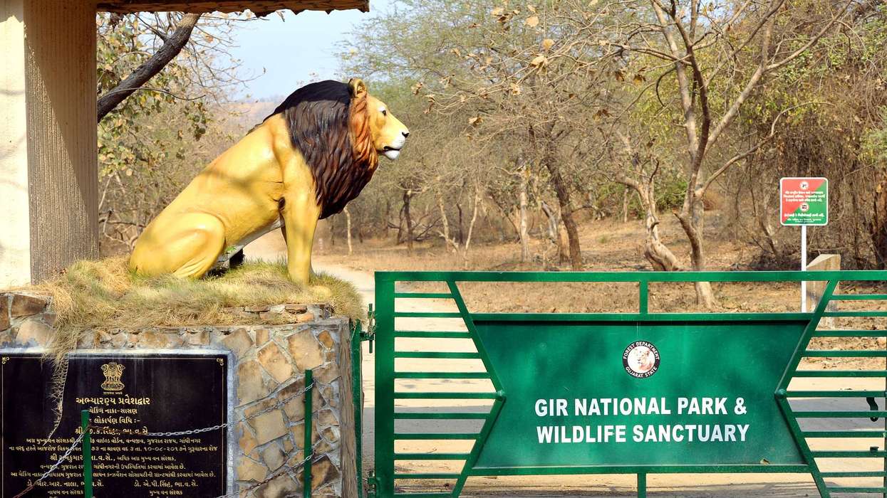 Gujarat third in foreign tourist visits in 2024