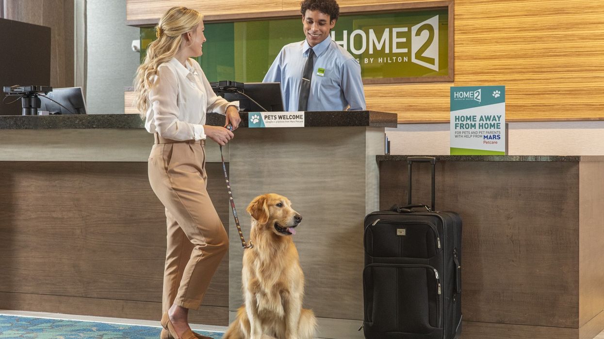 Hilton, Mars Petcare enter agreement to promote pet friendly policies