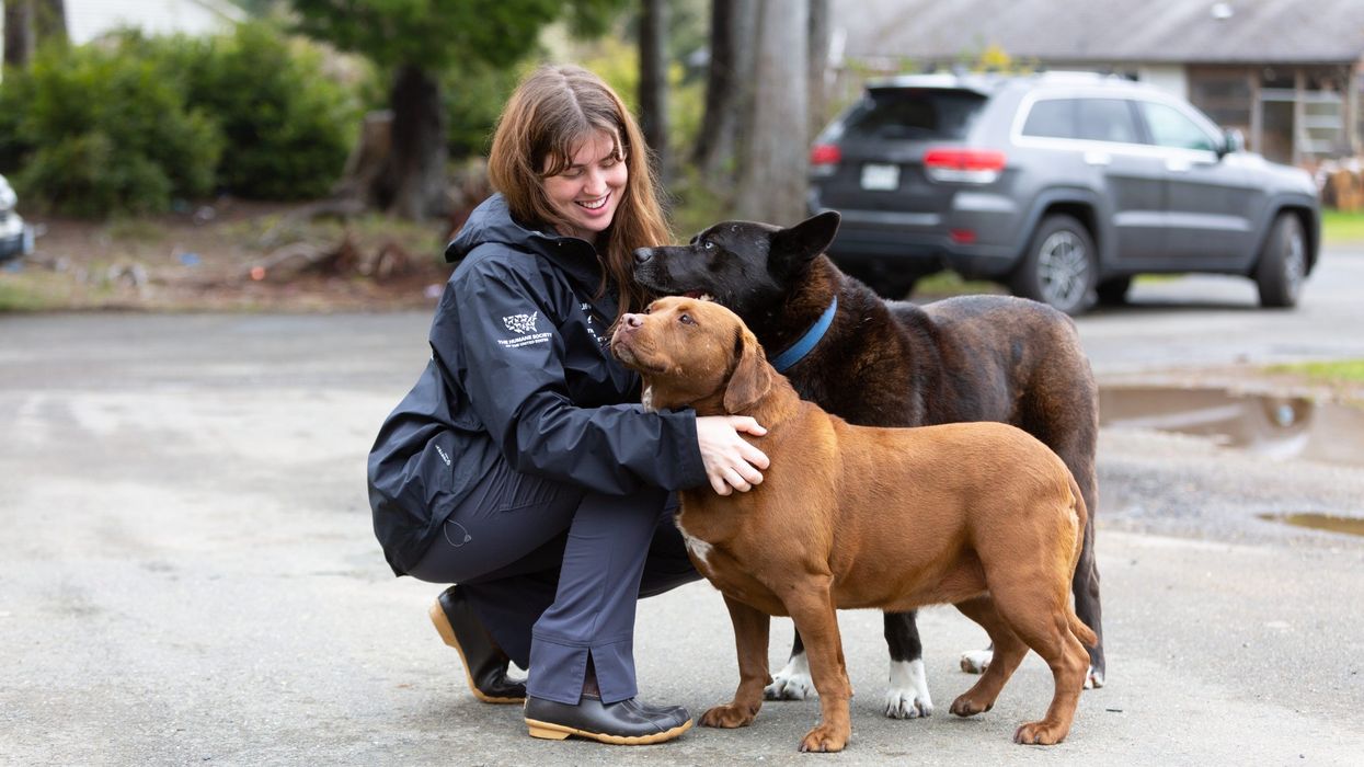 Motel 6, Studio 6 partner with Humane Society to fight ‘pet poverty’