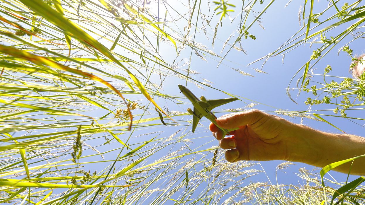 Survey: 82 percent of American travelers prioritize sustainable travel