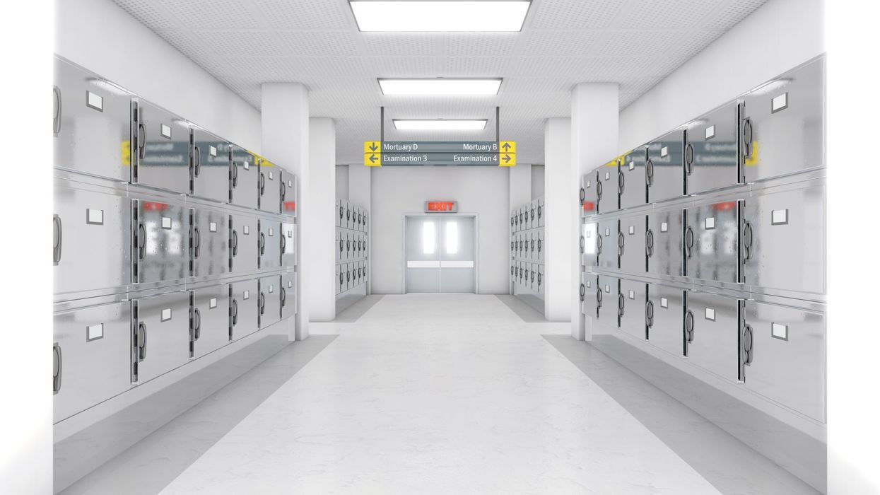 Cool Solutions: Unraveling the Remarkable Versatility of Commercial Refrigeration
