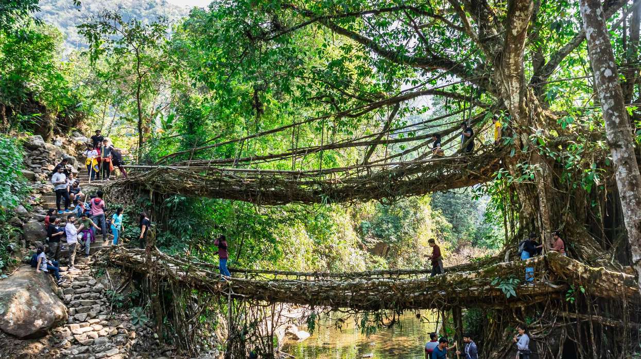 Meghalaya named year-round draw