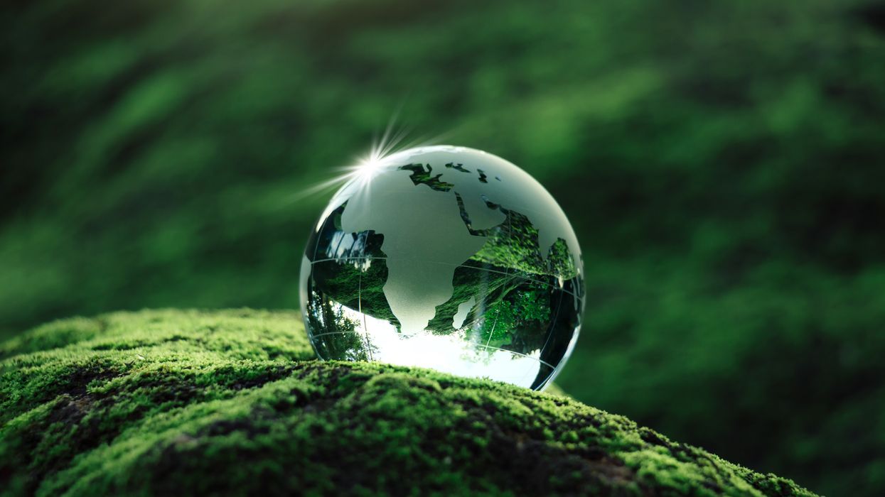 WTTC and Greenview ESG tracker supports U.S. hospitality sustainability compliance and strategy