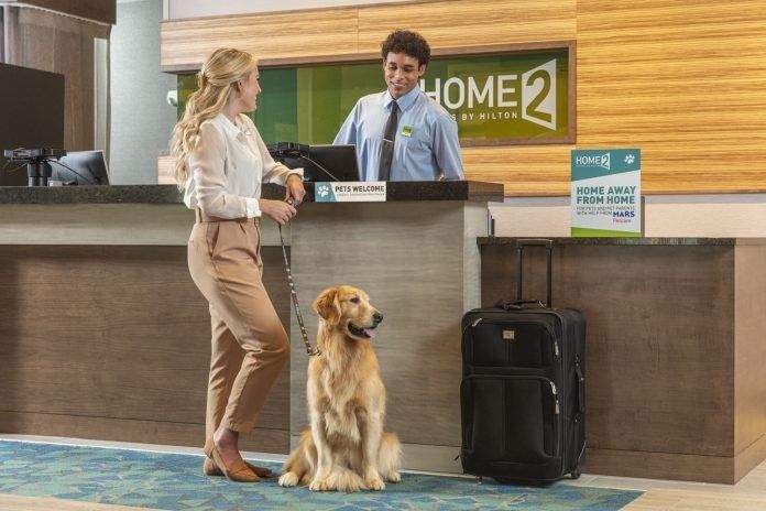 ENEWS-COVID-09-20-21-Hilton-and-Mars-Petcare-USE-THIS-ONE-696x464