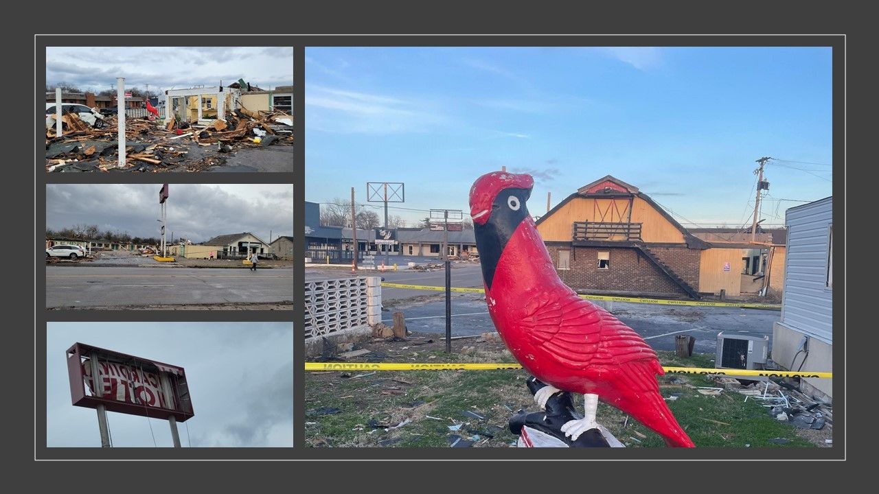 Cardinal Motel in Mayfield